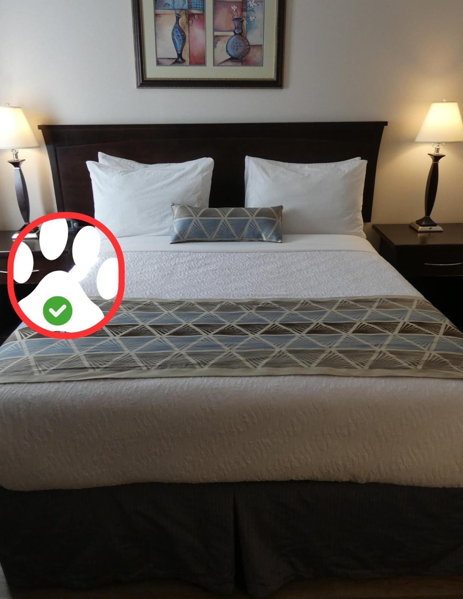 Dilworth Inn Κελόουνα  Εξωτερικό φωτογραφία