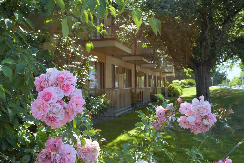 Dilworth Inn Κελόουνα  Εξωτερικό φωτογραφία